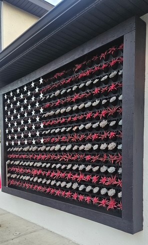 american flag living flower wall, pig and whistle pub cocoa beach fl